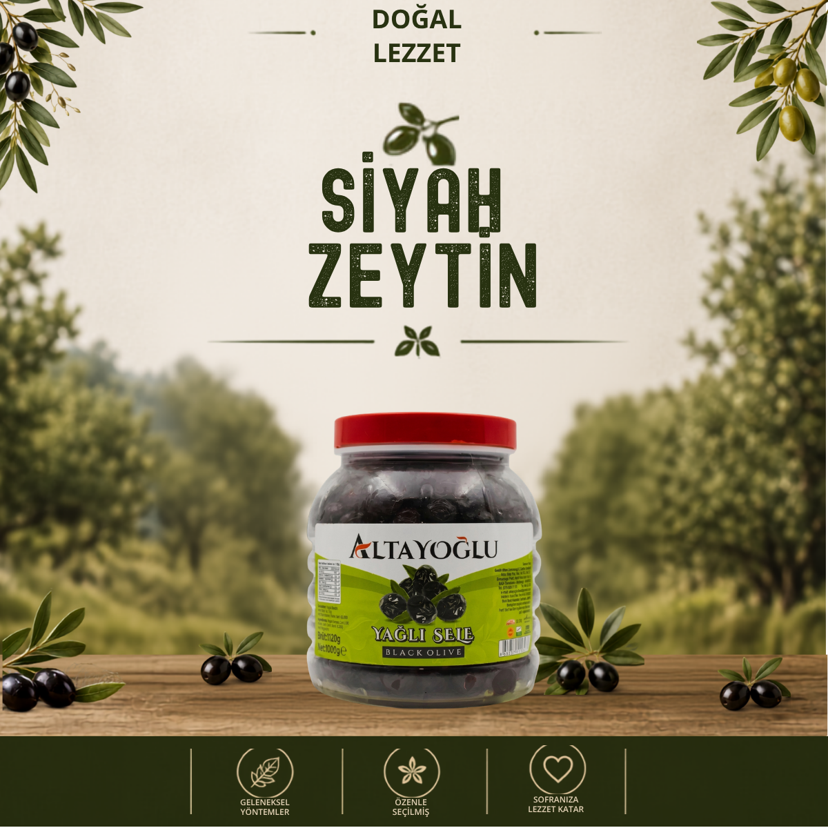 1500 CC Yağlı Sele Siyah Zeytin 261-290 Kalibre